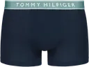 Tommy Hilfiger Everyday Essentials 3-pack trunk alushousut