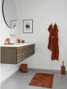 Zone Denmark Ume Wc-harja terrakotta