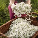 DIOR Jadore Infinissime EdP tuoksu 150 ml