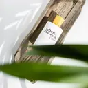 Juliette has a gun Sunny Side Up Eau de Parfum tuoksu 100 ml