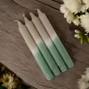 Puttipaja Kruunukynttilä raita salvia puuteri 4 kpl