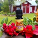 Korpiahon Propolisuute 10ml