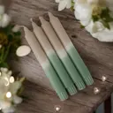 Puttipaja Kruunukynttilä raita salvia puuteri 4 kpl