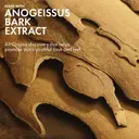 Origins Plantscription Lifting + Firming Cream kasvovoide 50 ml