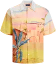 Jack & Jones Jorlandscape paita