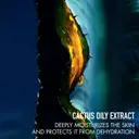 DIOR Sauvage The Serum Powered by Cactus seerumi 50 ml