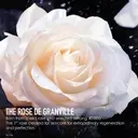 DIOR Prestige Firming Sheet Mask anti-ageing naamio 168 ml