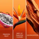 Escada Bali Paradise EdT 100 ml