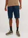 Jack & Jones Jpstcole barkley shortsit