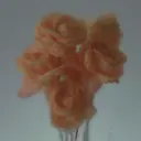 Abel Nurture 100% Natural EdP 30ml