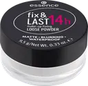 essence fix & LAST 14h make-up fixing LOOSE POWDER 9.5 g