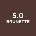 L'Oréal Paris Brow Color Kit kulmaväri 30 ml