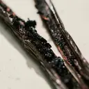 Chloé L'eau de Parfum Lumineuse tuoksu 30 ml