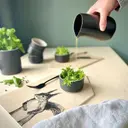 MIIKO Orava leikkuulauta