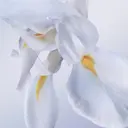 Lancôme La Vie est Belle Rose Extraordinaire EdP tuoksu 50 ml