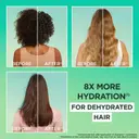 Garnier Fructis Hair Food Aloe Vera shampoo normaaleille ja kuiville hiuksille 350ml