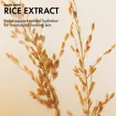 Origins Plantscription Lifting + Firming Cream kasvovoide 50 ml