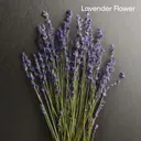 Calvin Klein Eternity Aromatic Essence for women tuoksu 30 ml