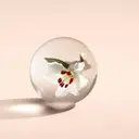 Molton Brown Heavenly Gingerlily Body Lotion vartalovoide 300 ml