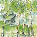 Havi tissue lautasliina Rantasauna 33cm 20kpl