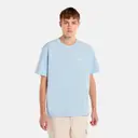 Dickies Companion script st-paita