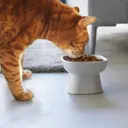 Yamazaki lemmikin kulho Tower valkoinen