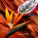 Escada Bali Paradise EdT 100 ml