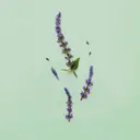 GUCCI Guilty Pour Homme Parfum tuoksu 50 ml