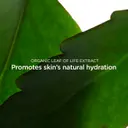 Clarins Fresh Scrub kasvokuorinta 50ml