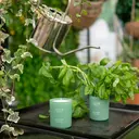 Joik Home & Spa Tuoksukynttilä Basil & Mint 150 g