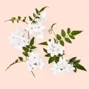 Gucci Bloom Intense EdP tuoksu 30 ml