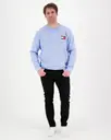 Tommy Jeans Tjm reg essential flagc neck ext college