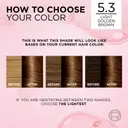 L'Oréal Paris Excellence Creme 5.3 Golden Light Brown Kullanruskea kestoväri 1kpl