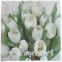 Ruokaservetti tulppaani valkoinen