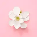 Gucci Flora Gorgeous Jasmin  EdP tuoksu 30 ml