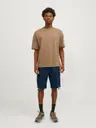 Jack & Jones Jpstcole barkley shortsit