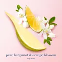 Giorgio Armani My Way Nectar EdP tuoksu 50 ml