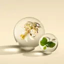 Molton Brown Orange & Bergamot EdP tuoksu 100 ml