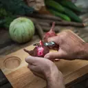 Fiskars Norden kuorija, kiinteä terä