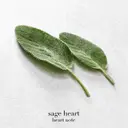 Giorgio Armani Acqua di Giò EdP tuoksu 30 ml