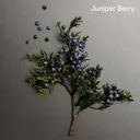 Calvin Klein Eternity Aromatic Essence for men tuoksu 50 ml