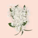 Gucci Bloom Intense EdP tuoksu 30 ml