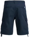 Jack & Jones Jpstcole barkley shortsit
