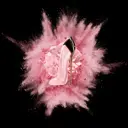 Carolina Herrera Good Girl Blush EdP tuoksu 30 ml