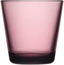 Iittala Kartio juomalasi 21cl kanerva 2kpl