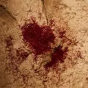 Ralph Lauren Polo Red EdT täyttöpakkaus 150 ml