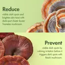 Origins Dr. Weil Mega-Mushroom Dark Spot Brightening Moisturizer -kosteusvoide 50 ml