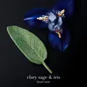 Armani Code Parfum tuoksu 75 ml