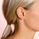 Cailap Hopeakorvakorut kirkas kivi