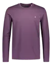 Dark Plum